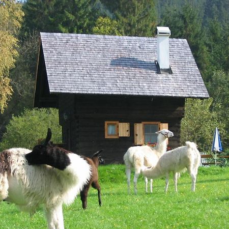 Huette Zum Verlieben 古尔克 外观 照片