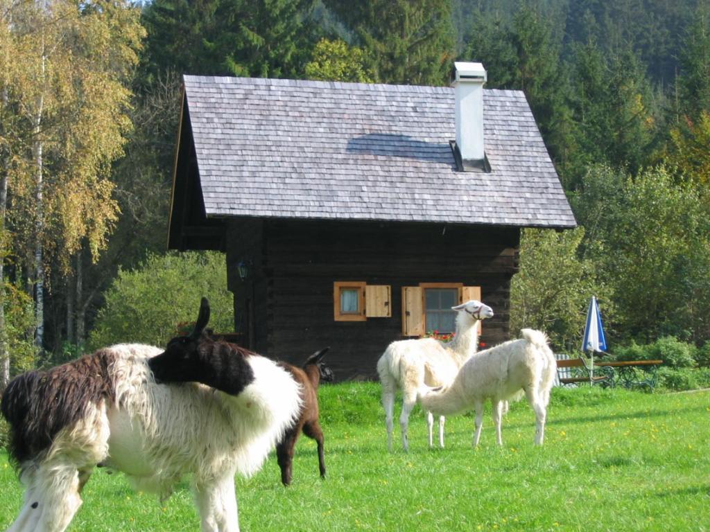 Huette Zum Verlieben 古尔克 外观 照片
